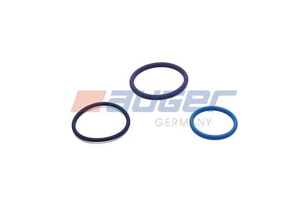 Auger 103934 Seal Kit, injector nozzle 103934
