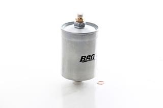 BSG 60-130-025 Fuel filter 60130025