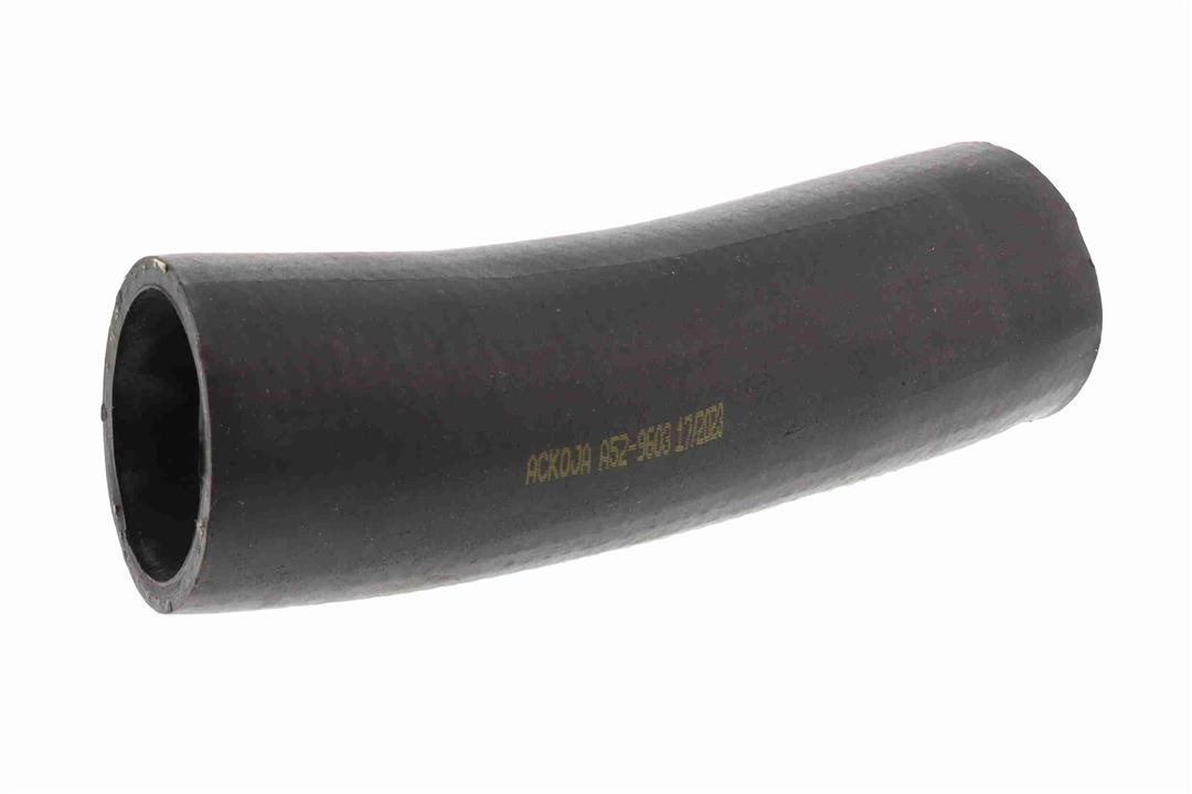 A529603 Ackoja Intercooler pipe