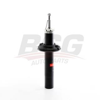 BSG 11-300-001 Front oil and gas suspension shock absorber 11300001