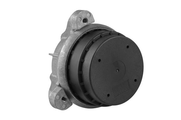 Engine Mounting TedGum TED19507