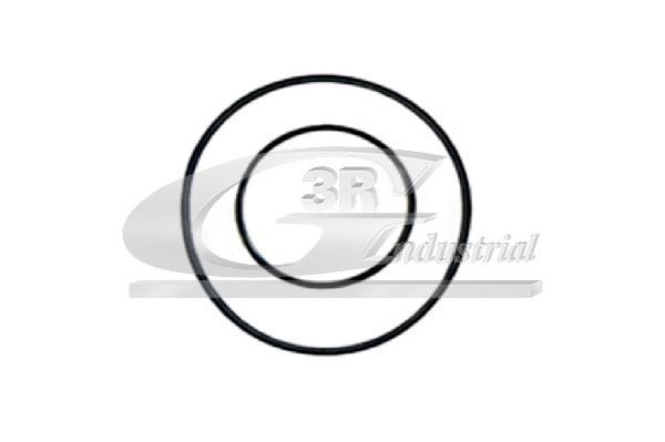 3RG 74100 Gasket, vacuum pump 74100 74100 3RG Gasket, vacuum pump