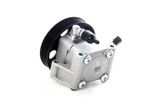 BSG 30-355-013 Hydraulic Pump, steering system 30355013