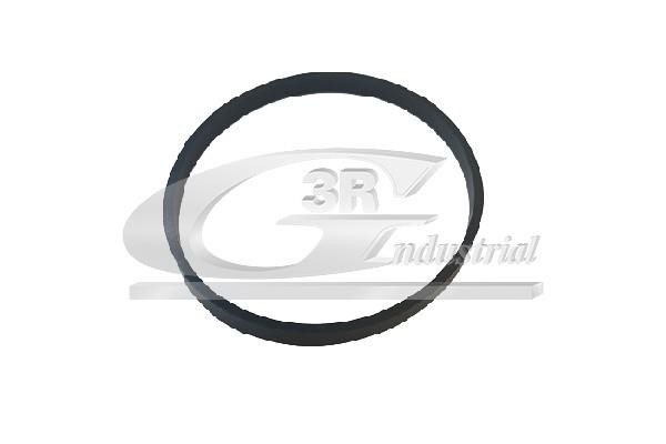 36705 3RG Intake manifold gasket