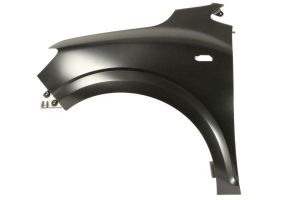 Front fender Dacia: 6504041303315P Blic Wing