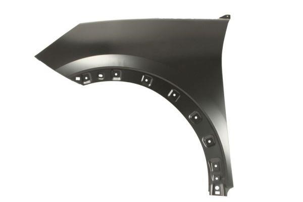 6504042595311P Blic Wing