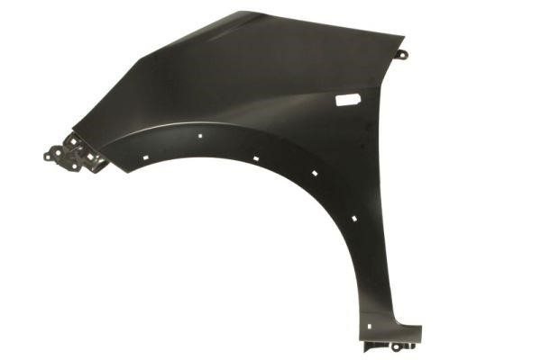 Front fender Honda Jazz: 6504042904317P Blic Wing