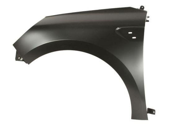 Front wing panel Renault Clio: 6504046001313P Blic Wing