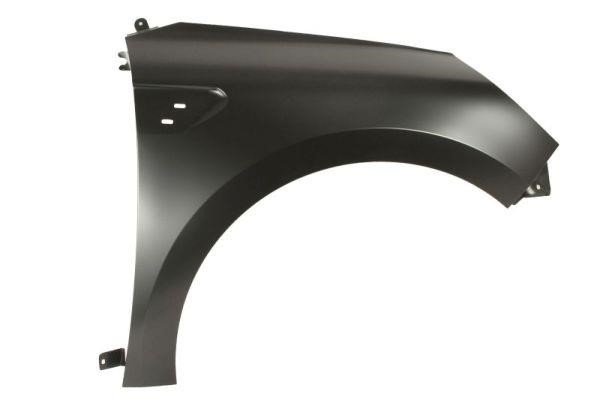 Front wing panel Renault Clio: 6504046001314P Blic Wing
