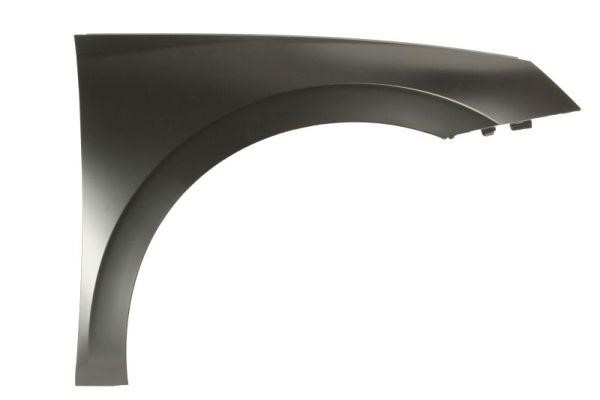 Front fender Skoda: 6504047518312P Blic Wing