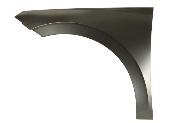 Front fender Skoda: 6504047519311P Blic Wing