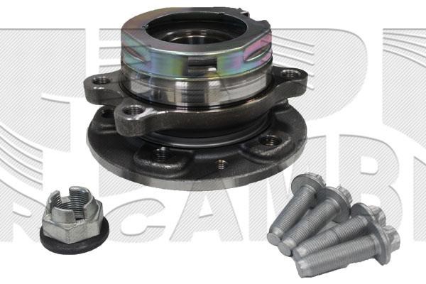 Caliber RC4519 Wheel bearing kit RC4519