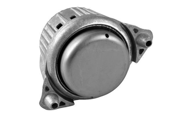 Engine mount TedGum TED53841