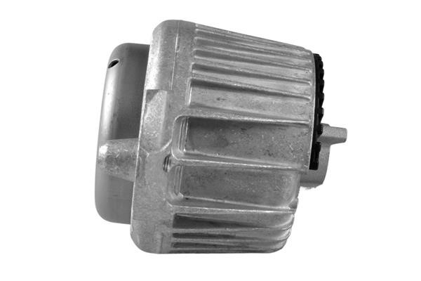 Buy TedGum TED53841 at a low price in United Arab Emirates!