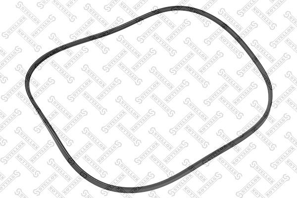 Stellox 02-00800-SX Poly-V belt 0200800SX 0200800SX Stellox Poly-V belt