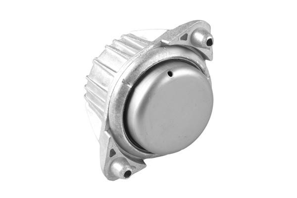 Buy TedGum TED99086 at a low price in United Arab Emirates!