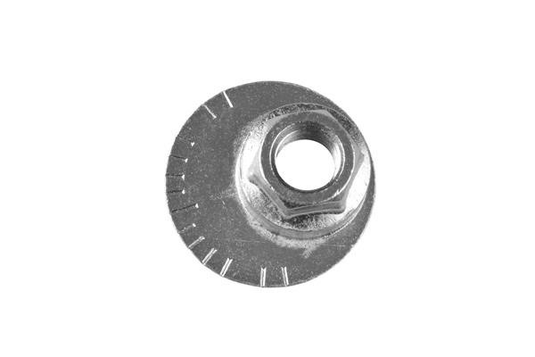 Buy TedGum TED48023 at a low price in United Arab Emirates!