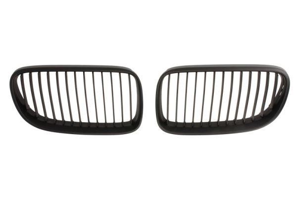 6502070062911KP Blic Grille radiator