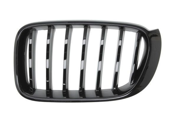 Radiator grille BMW X3: 65020700939977P Blic Grille radiator