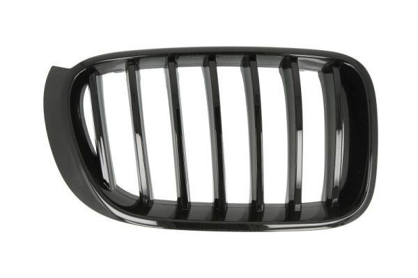 Radiator grill BMW X3: 65020700939988P Blic Grille radiator