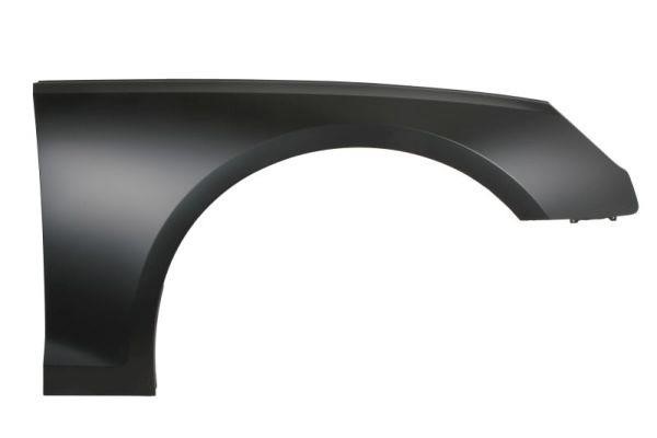 Front fender Audi A4: 6504040030314Q Blic Front fender right
