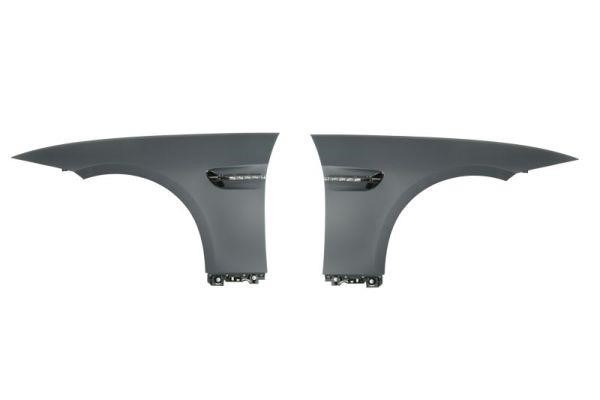 6504040062312KP Blic Front fender
