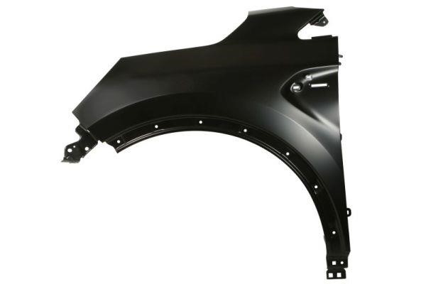 Front wing panel Renault: 6504046013311P Blic Wing