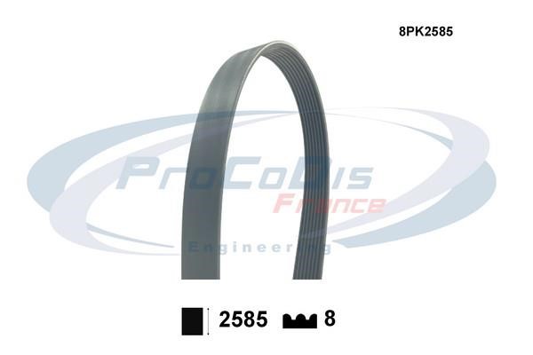 Procodis France 8PK2585 V-ribbed belt 8PK2585 8PK2585