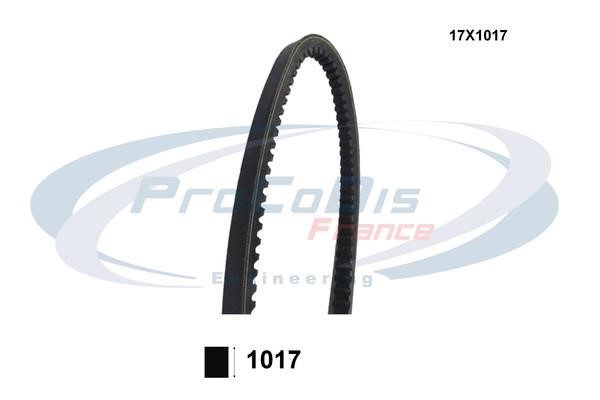 Procodis France 17X1017 V-belt 17X1017