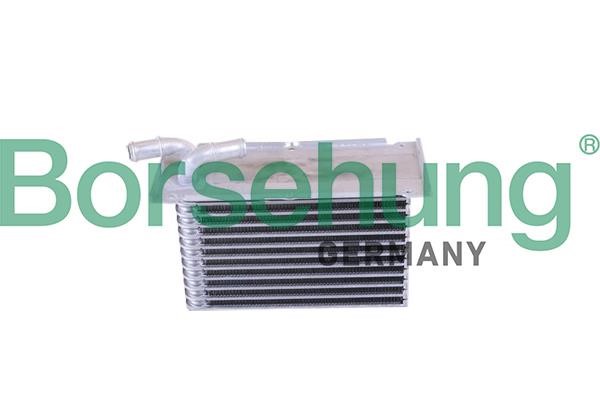 B10881 Borsehung Intercooler, charger