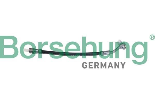 B10949 Borsehung Brake Hose