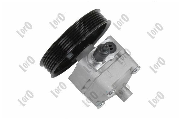 Hydraulic Pump, steering system Abakus 140-01-011