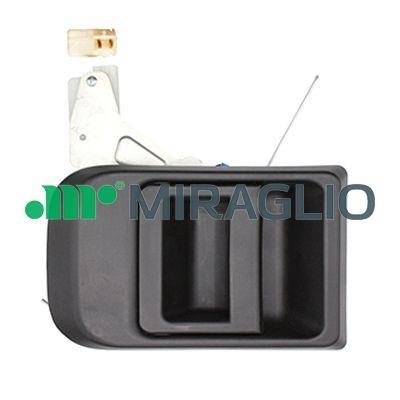 Door handle Iveco Daily: 80937 Miraglio Handle-assist