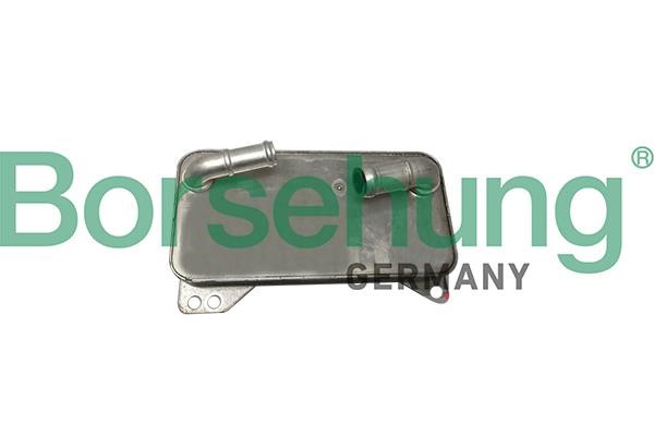 B10882 Borsehung Oil cooler
