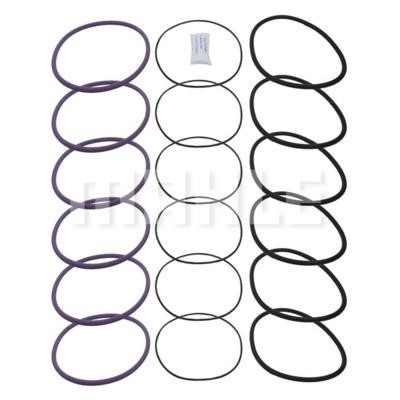 Mahle/Metal Leve AV-1730 O-Ring Set, cylinder sleeve AV1730
