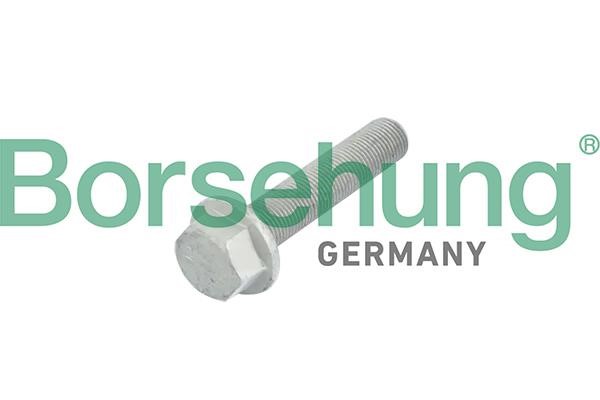 B10633 Borsehung Centering Bolt, crankshaft pulley