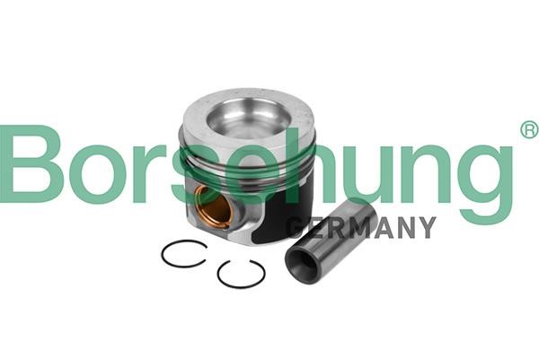 B11133 Borsehung Piston