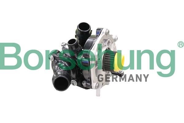 Borsehung B11209 Water Pump, engine cooling B11209 B11209 Borsehung Water Pump, engine cooling