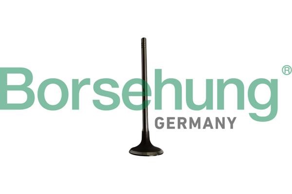 Inlet valves Mini Cooper: B10334 Borsehung Intake valve