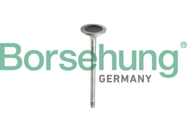 B10343 Borsehung Piston Ring Kit