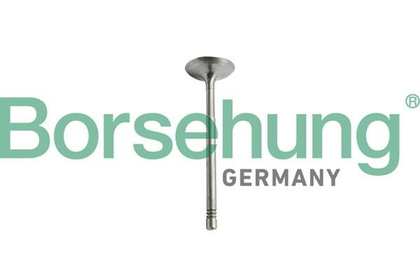 B10344 Borsehung Piston Ring Kit
