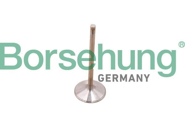 Piston rings Mercedes Sprinter: B10348 Borsehung Piston Ring Kit