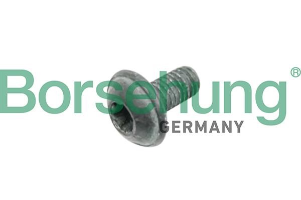 B10635 Borsehung Bolt, brake disc