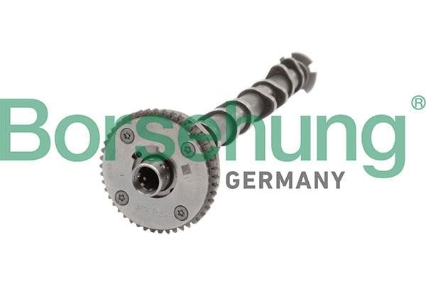 B11319 Borsehung Camshaft