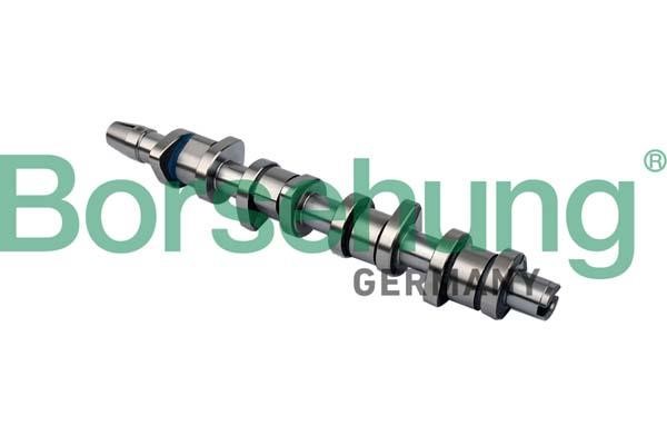 B11323 Borsehung Camshaft