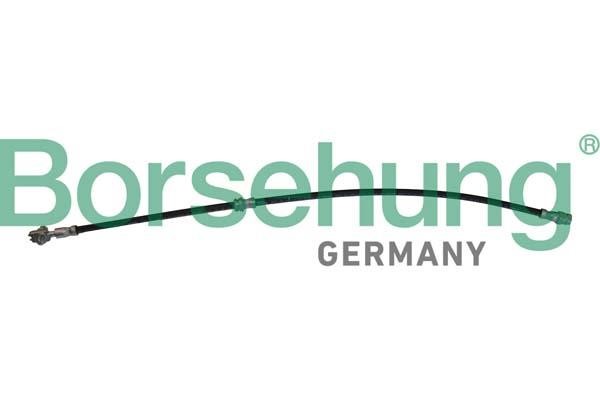 B10952 Borsehung Brake Hose