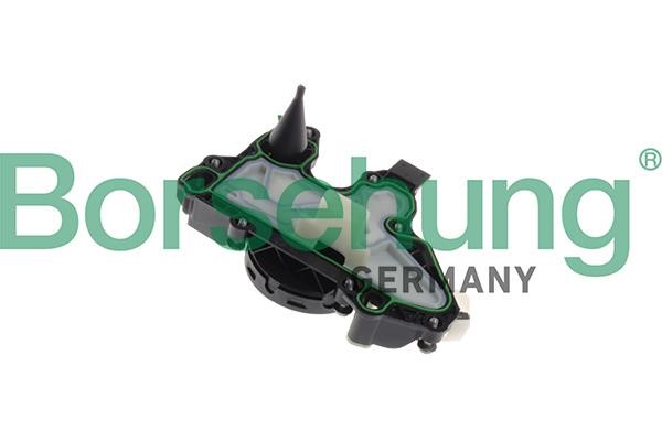 B11919 Borsehung Valve, engine block breather