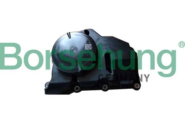 B11920 Borsehung Oil separator