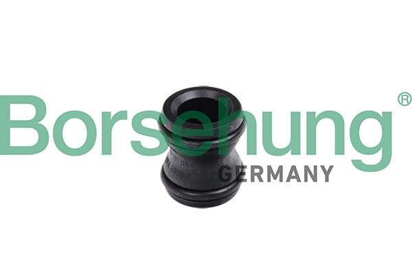 B11991 Borsehung Hub, water pump