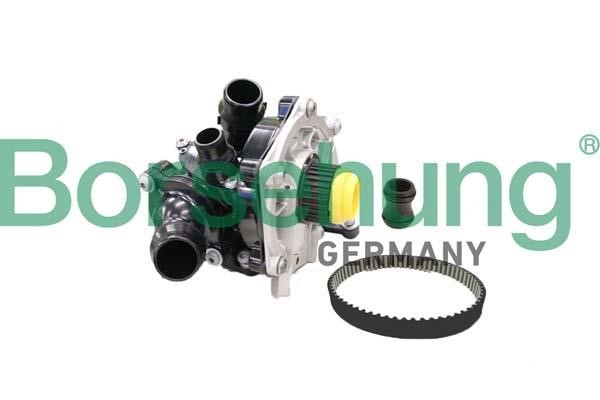 Borsehung B11210 Water Pump, engine cooling B11210